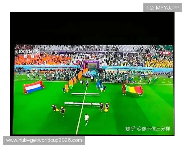 2026年世界杯法国与塞内加尔比赛观赛签证办理流程详细步骤及注意事项